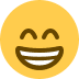 :grin: :grin: